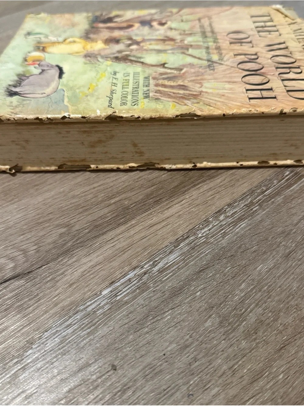 The World of Pooh A A Milne 1957 Illustrated Book, Hardcover With Dust Jacket